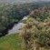 Kosi Forest Lodge - 213519