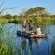 Kosi Forest Lodge - 213522