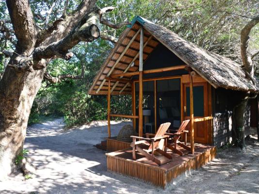 Kosi Forest Lodge - 213531