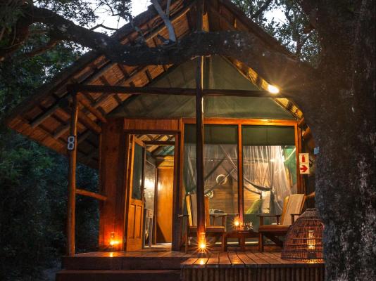 Kosi Forest Lodge - 213542