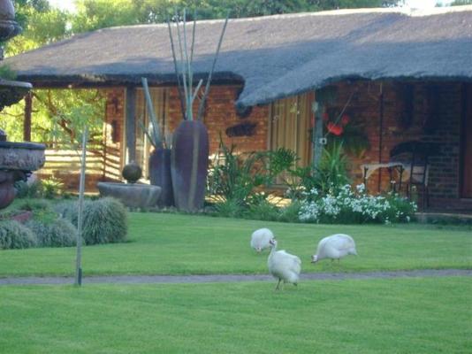 Kameelboom Lodge - 213601