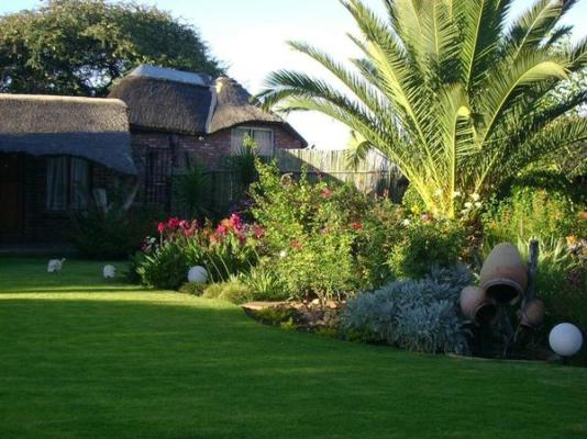 Kameelboom Lodge - 213603