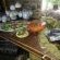 Kameelboom Lodge - 213606