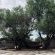 Kameelboom Lodge - 213610