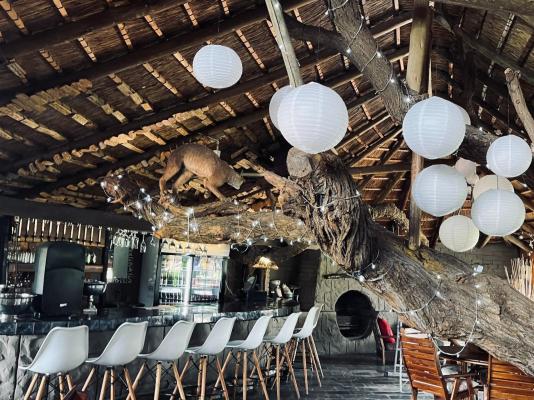 Kameelboom Lodge - 213614