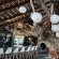 Kameelboom Lodge - 213614