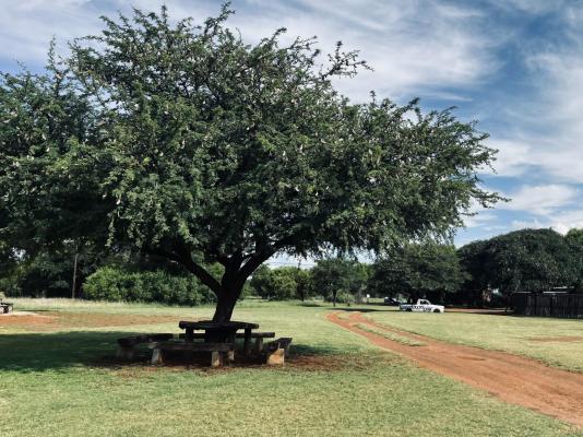 Kameelboom Lodge - 213615