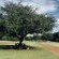 Kameelboom Lodge - 213615