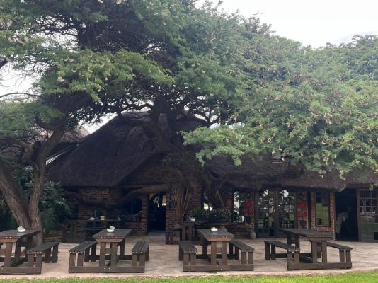 Kameelboom Lodge - 213616