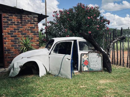 Kameelboom Lodge - 213620