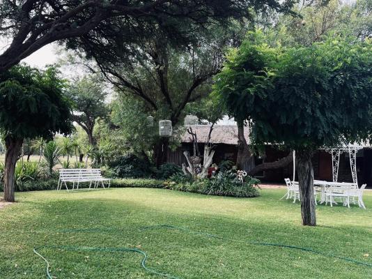 Kameelboom Lodge - 213621