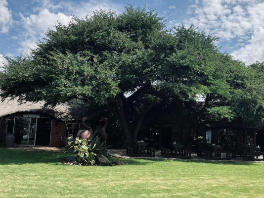 Kameelboom Lodge - 213622