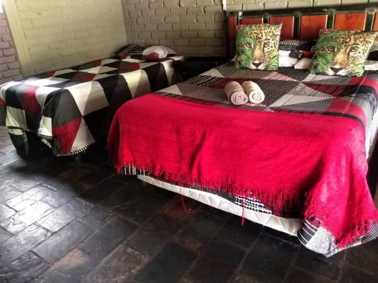 Kameelboom Lodge - 213623