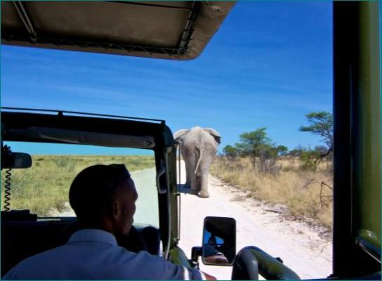Mokuti Etosha Lodge - 213693