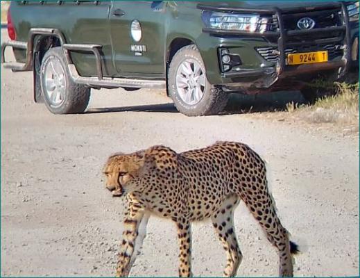 Mokuti Etosha Lodge - 213694