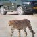 Mokuti Etosha Lodge - 213694