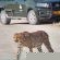 Mokuti Etosha Lodge - 213694