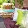 Cycas Guest House - 213785