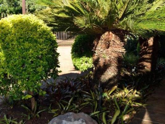 Cycas Guest House - 213786