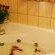 Cycas Guest House - 213790