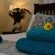 Cycas Guest House - 213791