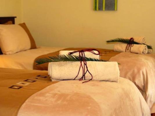 Cycas Guest House - 213793