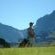 Fairways Drakensberg - 213809