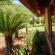 Lucca Lodge - 213943