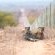 Mopane Bush Lodge - 213988