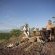 Mopane Bush Lodge - 213989