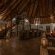 Mopane Bush Lodge - 213991
