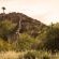 Mopane Bush Lodge - 213994