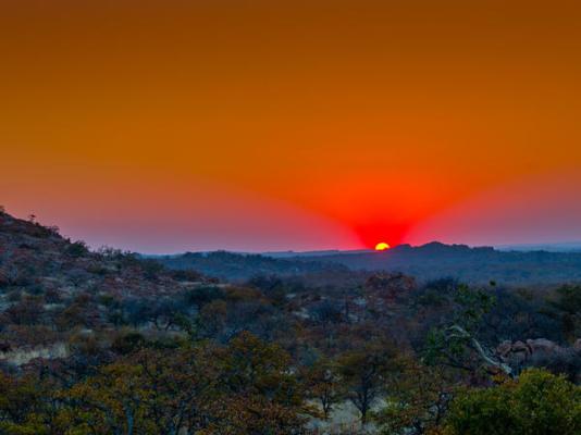 Mopane Bush Lodge - 213995