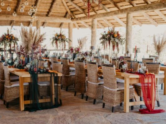 Mopane Bush Lodge - 213999
