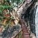 Mopane Bush Lodge - 214016