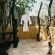 Mopane Bush Lodge - 214020