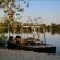 Zambezi Dusk - 214123