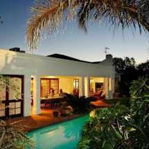 Lemon Tree Lane - 214198