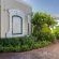 Lemon Tree Lane - 214199