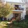 Lemon Tree Lane - 214200
