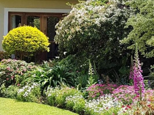 Lemon Tree Lane - 214203