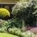 Lemon Tree Lane - 214203