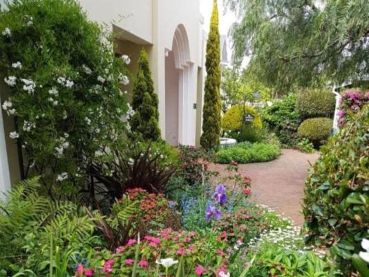Lemon Tree Lane - 214204