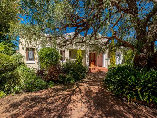 Lemon Tree Lane - 214206