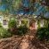 Lemon Tree Lane - 214206