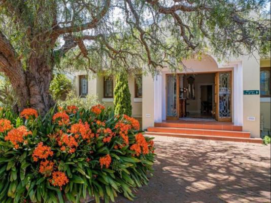 Lemon Tree Lane - 214208