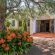 Lemon Tree Lane - 214208