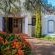 Lemon Tree Lane - 214212