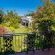 Lemon Tree Lane - 214213
