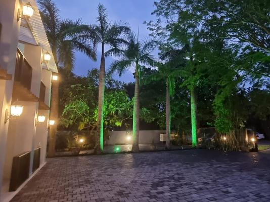 Leopard Tree Lodge - 214298